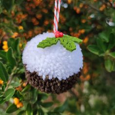 a christmas ornament hanging from a tree with holly leaves and berries on it