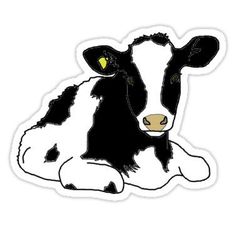 a black and white cow laying down on the ground with its head turned to the side