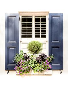 an open window with blue shutters and purple flowers in the planter below it