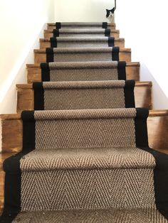 a cat is standing on top of the carpeted stairs in an empty room with white walls