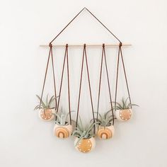 an air plant hanging on a wall next to some potted succulents