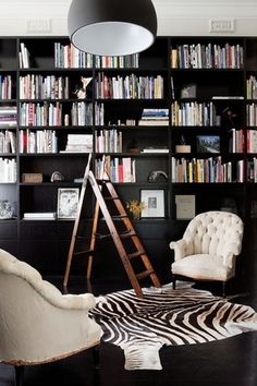 a living room filled with lots of bookshelves next to a zebra print rug