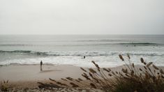 some people are out in the water at the beach