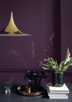 two plants in black vases on top of a table next to books and a lamp