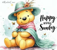 a teddy bear wearing a hat and scarf with the words happy hugs sunday on it