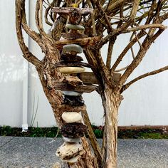 a tree made out of branches and rocks