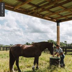 @danielleerodas used our pergola kit in a unique way, for her horses! "I am so happy with how these horse shades came out - love that we can design and build them however we want thanks to Toja Grid's mutli purpose DIY use. Our horses are happy and grateful!" 🐴 ☀️