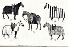 an old fashion book shows horses wearing blankets