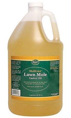 a gallon of molyvett lawn mole liquid on a white background,