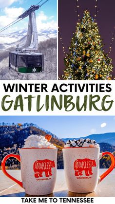 winter activities in gatlinburg with text overlay that reads, take me to tennessee