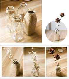 there are three pictures of pine cones in glass bottles