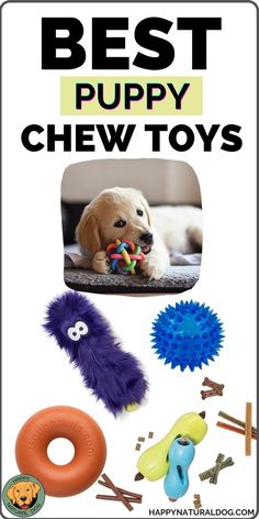 the best puppy chew toys for dogs and puppies are on display in this poster