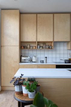 the kitchen is clean and ready for us to use it's counters are made of plywood