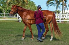 a woman standing next to a brown horse on top of a lush green field with palm trees