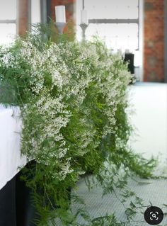 a bunch of white flowers sitting on top of a table