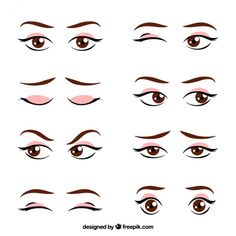 the different types of eyes and eyebrows