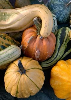 pumpkins, squash and gourds are piled on top of each other