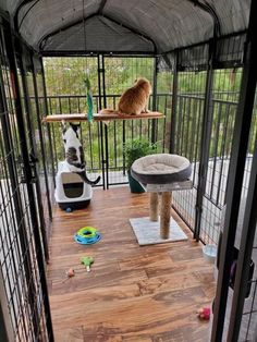 a cat sitting on top of a wooden floor in a cage