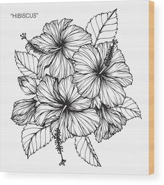 a black and white drawing of hibiscus flowers with leaves on a gray background