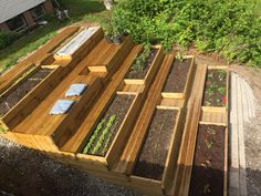 a wooden deck with plants growing in it