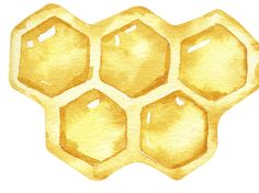 honeycombs painted in watercolor on white paper