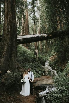 a bride and groom standing in front of a waterfall surrounded by redwood trees at their wedding