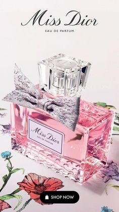 Dior Millefiori, Born In Roma Intense, Valentino Donna Born In Roma, Good Night Love Pictures, Collection Perfume, Born In Roma, Centifolia Rose