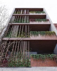 a tall building with lots of plants growing on it