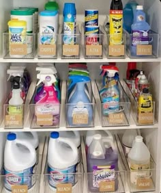 a refrigerator filled with lots of different types of cleaning products and detergent on shelves