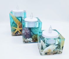 three square glass containers with white lids and seashells in them