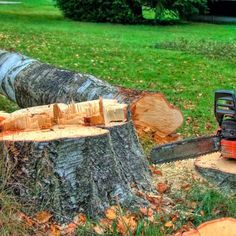 a chainsaw that is sitting on top of a tree