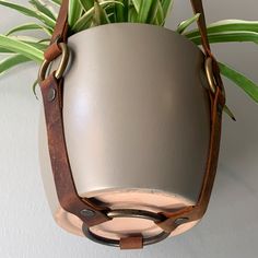 a potted plant hanging from the side of a wall with leather straps around it