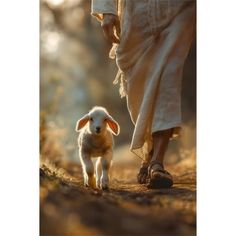 a person walking with a sheep in their hand