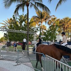 two people are riding horses on a city street with palm trees in the back ground