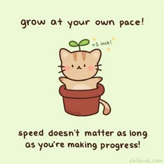 a cartoon cat sitting in a pot with the caption grow at your own pace speed doesn't matter as long as you're making progress