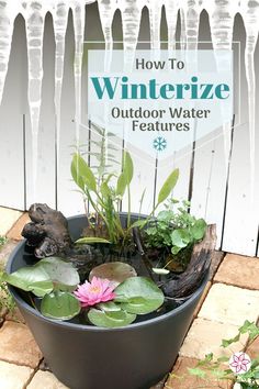 a potted planter filled with water and plants