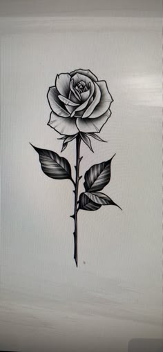 a drawing of a rose with leaves on it