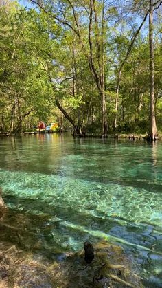 the water is crystal blue and clear in this area with trees on both sides,