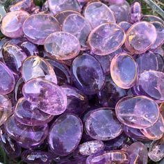 a bunch of purple crystals sitting on top of a green leafy planter filled with lots of them