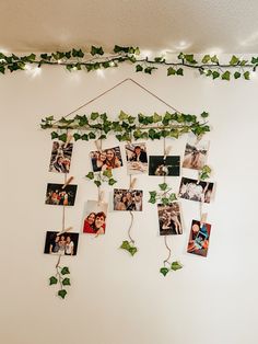 a wall hanging with photos and ivy on it