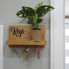 a potted plant on a wooden key holder