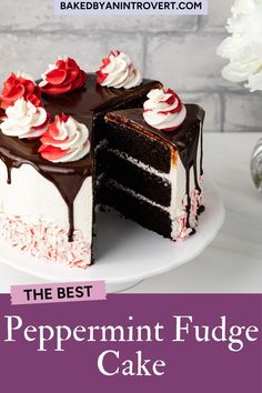 the best peppermint fudge cake with chocolate frosting