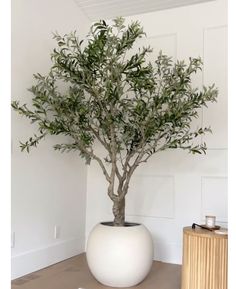 a potted plant sitting on top of a wooden table next to a white wall