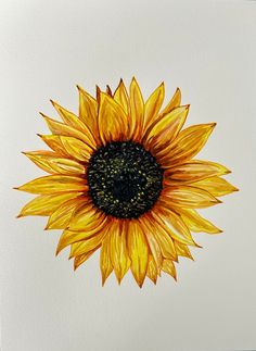 a painting of a yellow sunflower on a white background