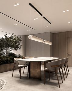 a dining room table with four chairs and a potted plant in the corner next to it