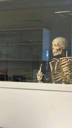 there is a skeleton sitting in the window and holding a glass cup with one hand