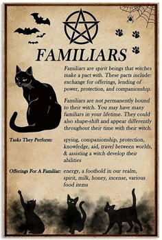 Black Cat Witchcraft, Familiars Witch Animal, Witches Quotes, Witch Knowledge, Spell Ingredients, Cheers Witches, Witch Shirts, Black Cat Witch, Witches Familiar