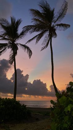 two palm trees on the beach at sunset