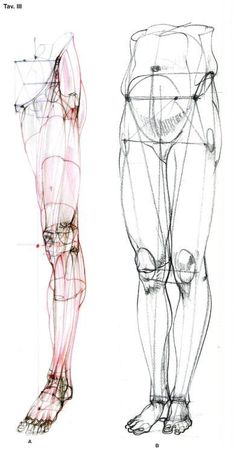 two different views of the legs and feet of a person with muscles drawn on them