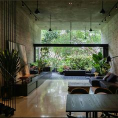 a living room filled with furniture and lots of plants